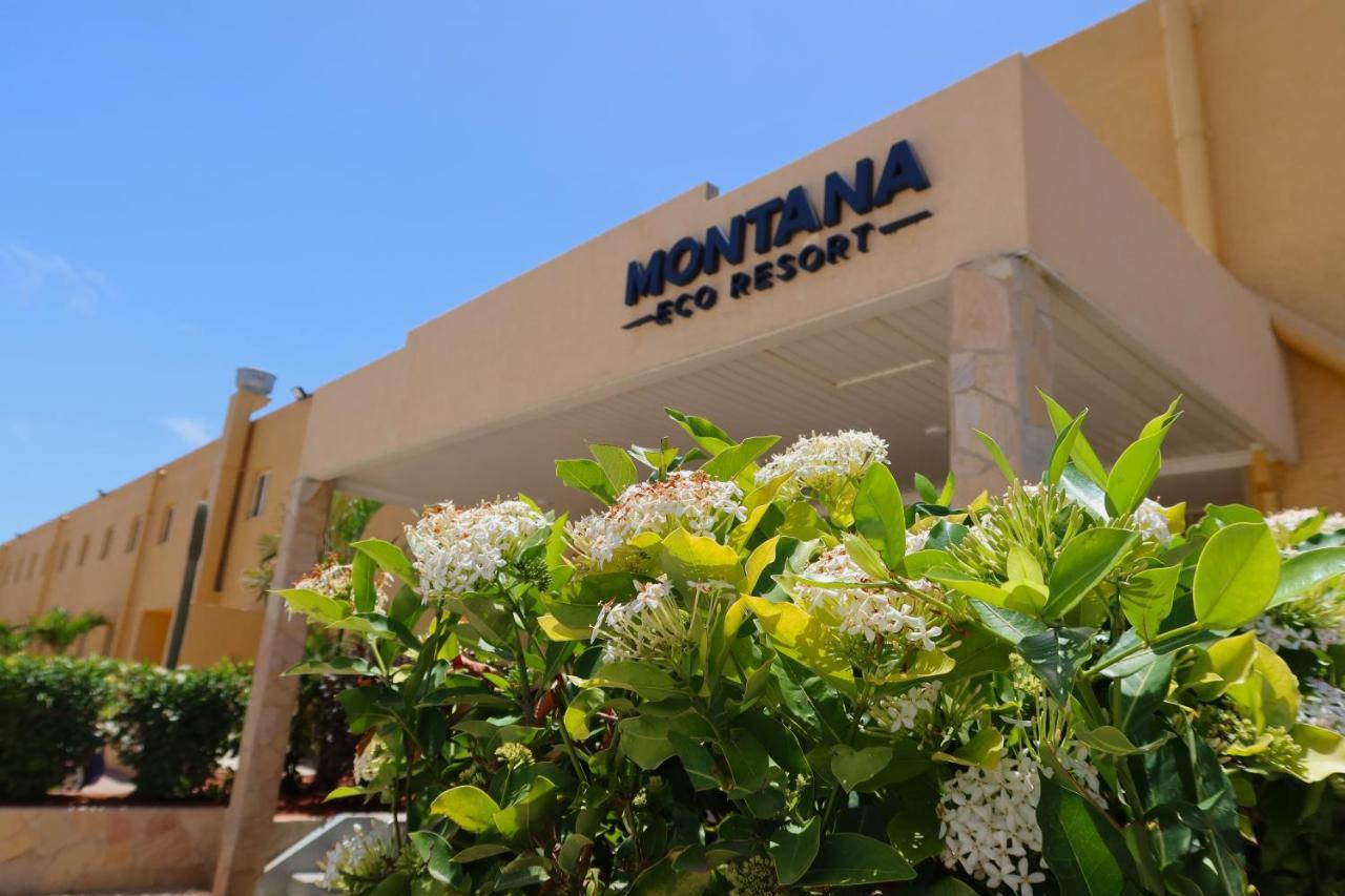Montana Eco Resort Aruba اورانجستاد المظهر الخارجي الصورة